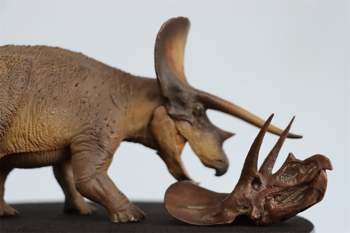 PNSO 1/35 New Triceratops Doyle Model