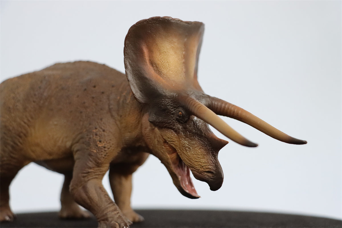 PNSO 1/35 New Triceratops Doyle Model
