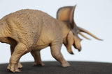 PNSO 1/35 New Triceratops Doyle Model