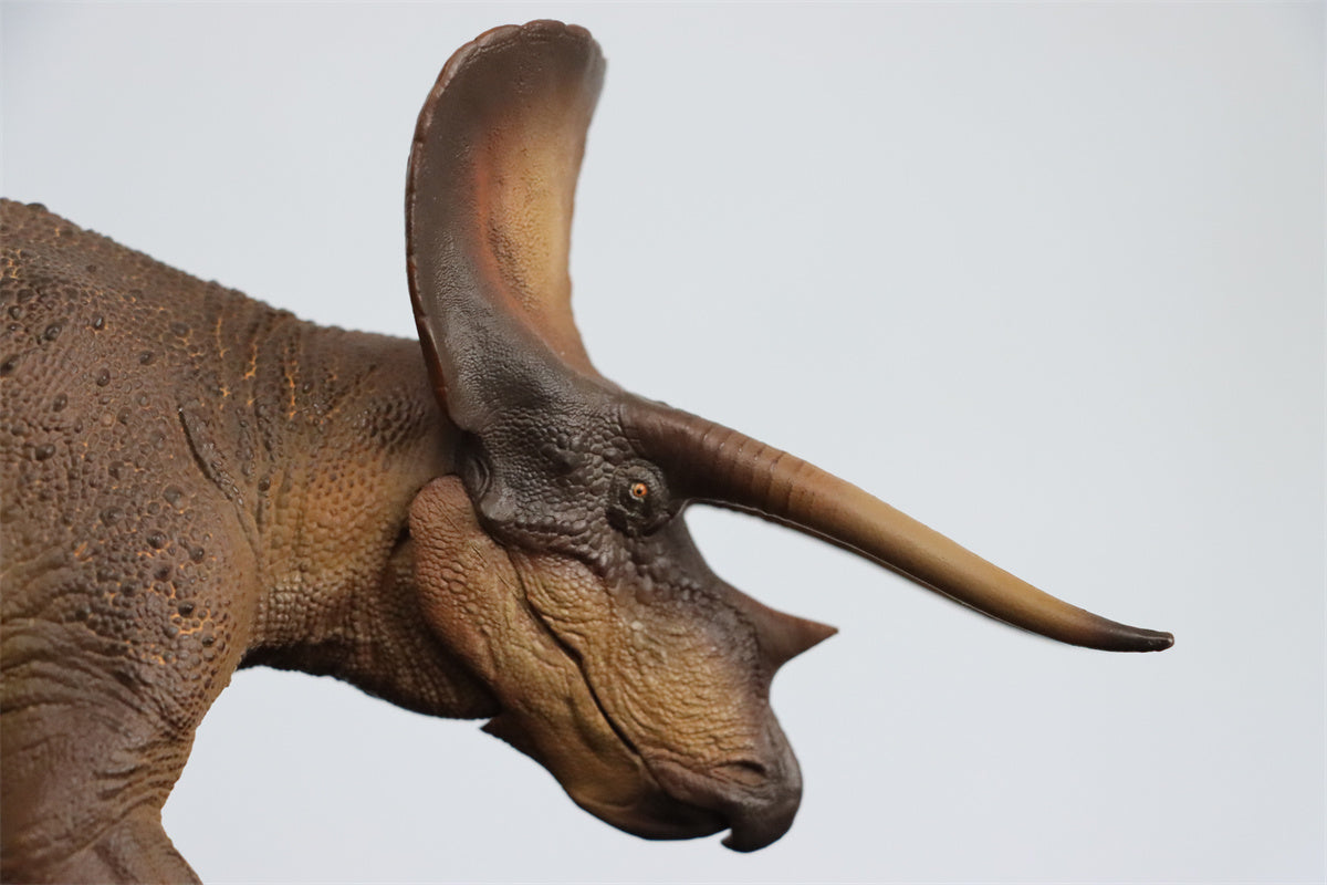 PNSO 1/35 New Triceratops Doyle Model