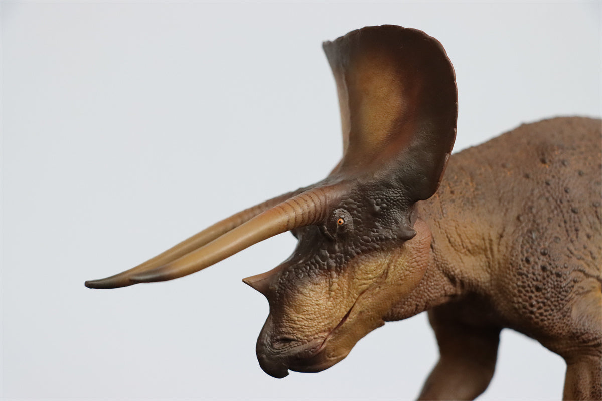 PNSO 1/35 New Triceratops Doyle Model