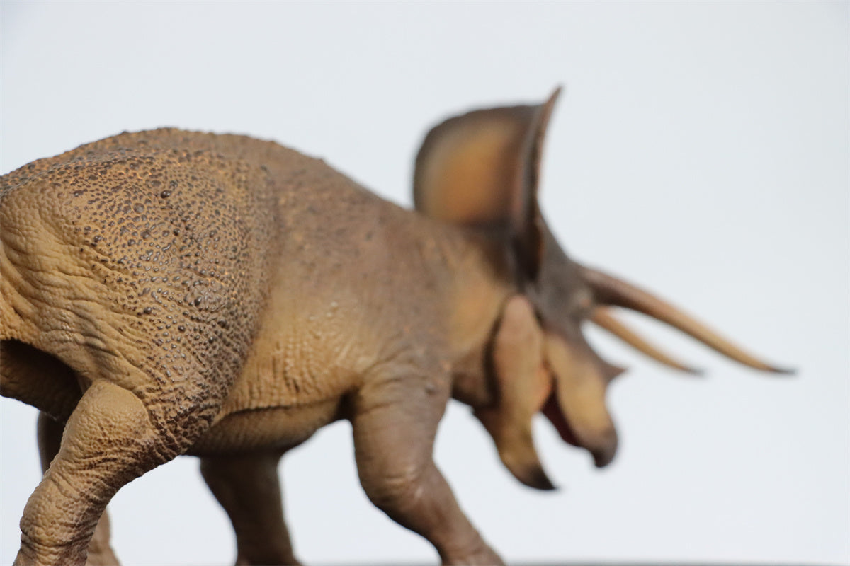 PNSO 1/35 New Triceratops Doyle Model