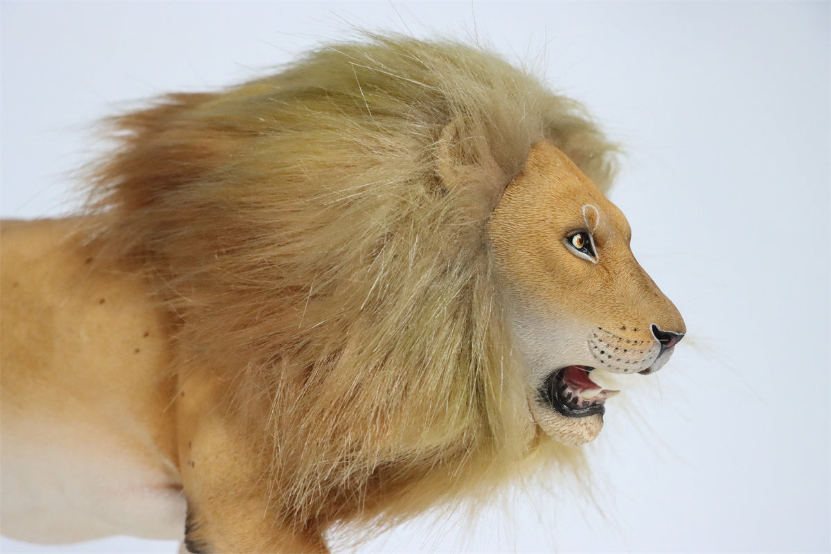 JXK 1/6th Lion 2.0 Model