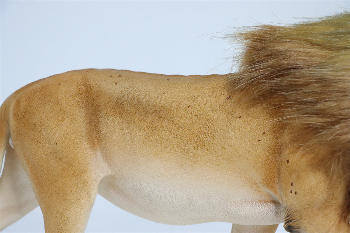 JXK 1/6th Lion 2.0 Model