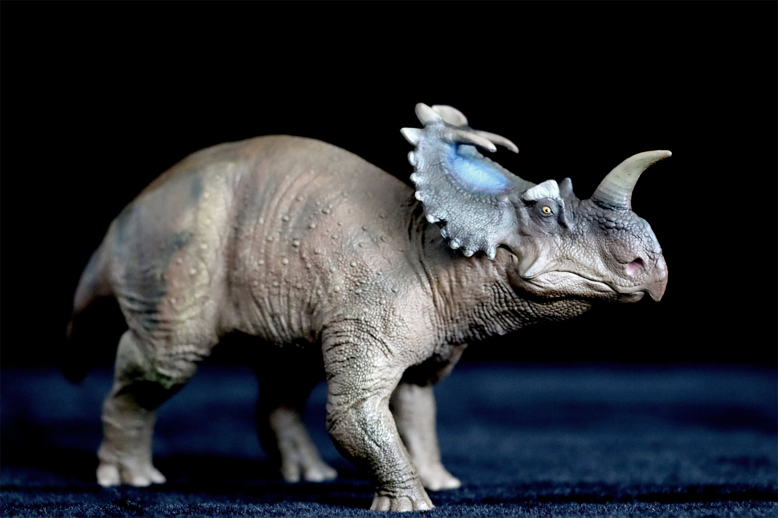 PNSO Centrosaurus Jennie Model