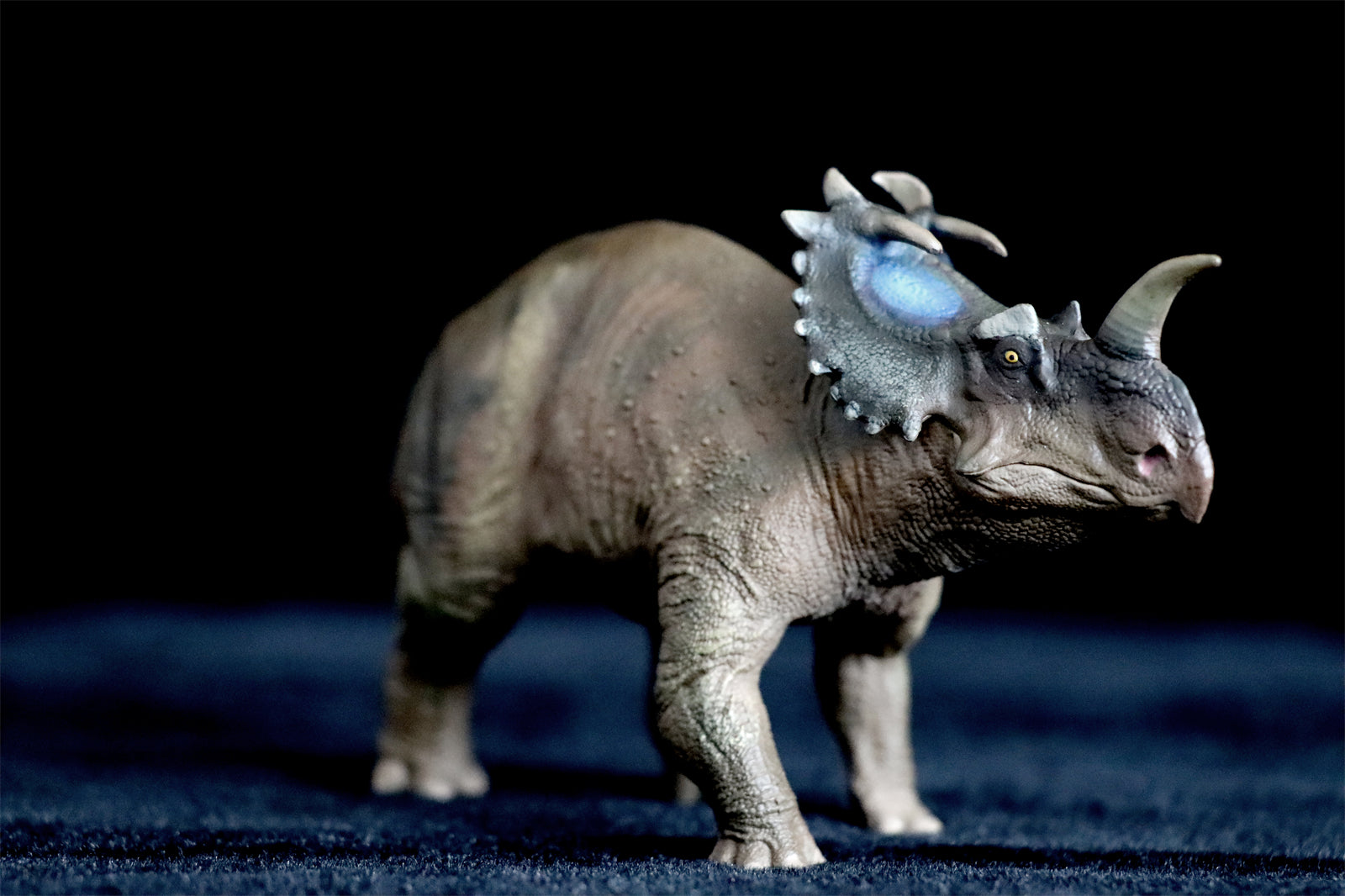 PNSO Centrosaurus Jennie Model
