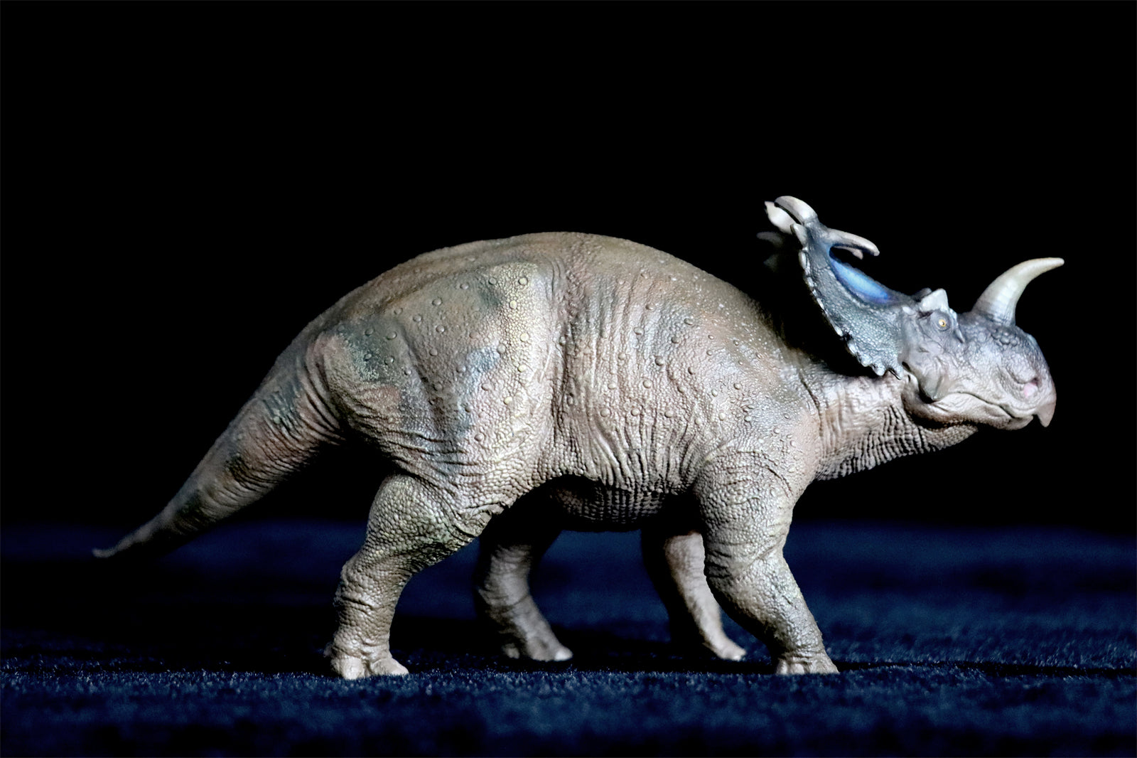 PNSO Centrosaurus Jennie Model