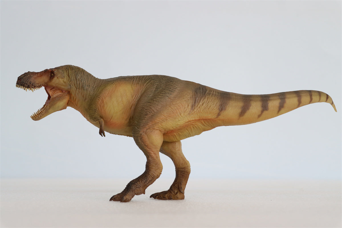 PNSO Luxiong Zhuchengtyrannus Model