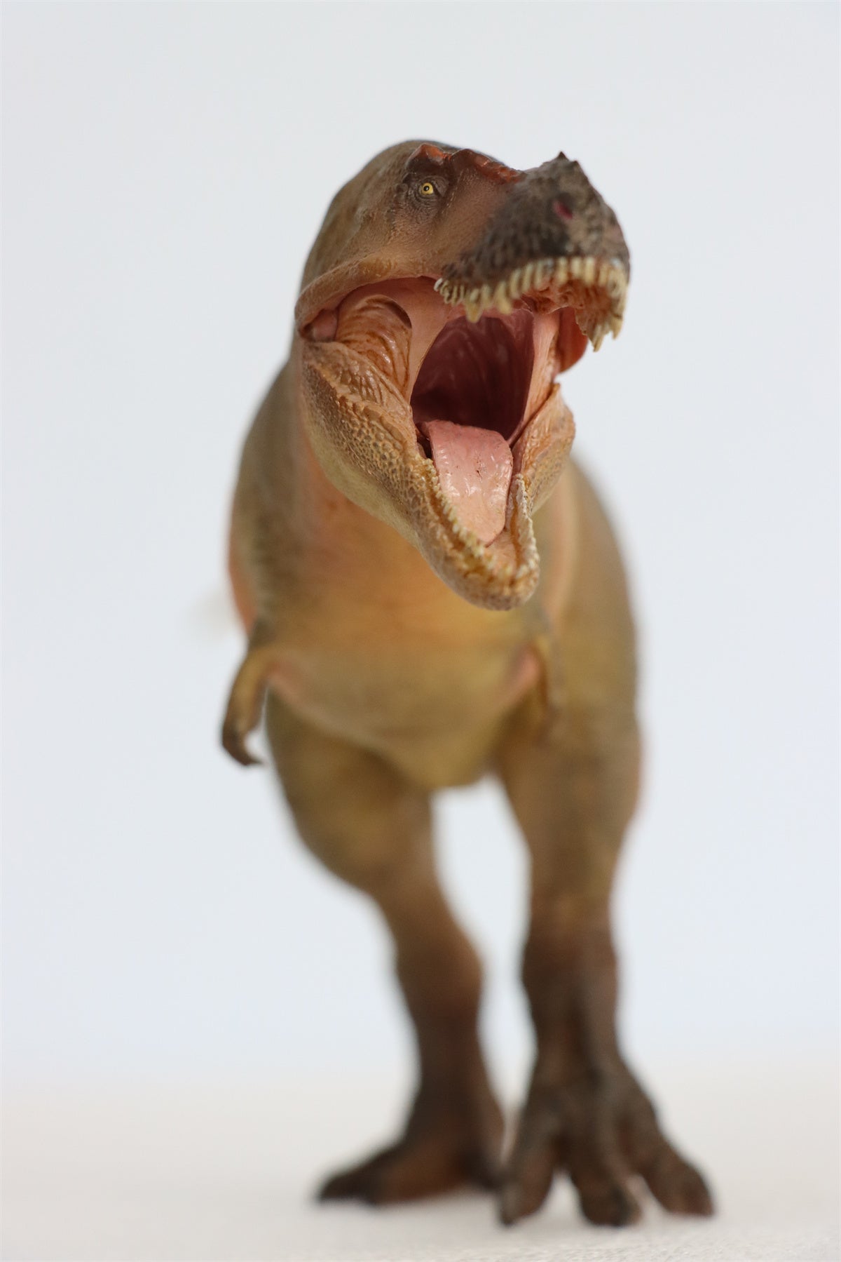 PNSO Luxiong Zhuchengtyrannus Model