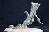 Deinonychus Left Foot Skeleton Model