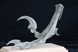 Deinonychus Left Foot Skeleton Model