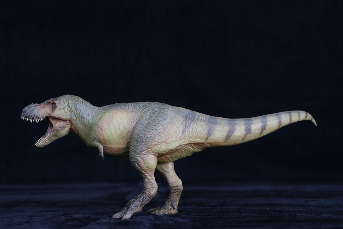 PNSO Luxiong Zhuchengtyrannus Model