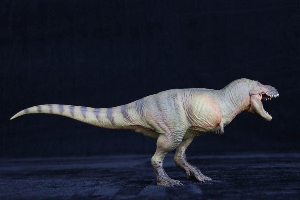PNSO Luxiong Zhuchengtyrannus Model
