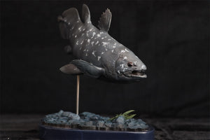 Memory Museum x Really Modeling 1/15 Coelacanth Statue