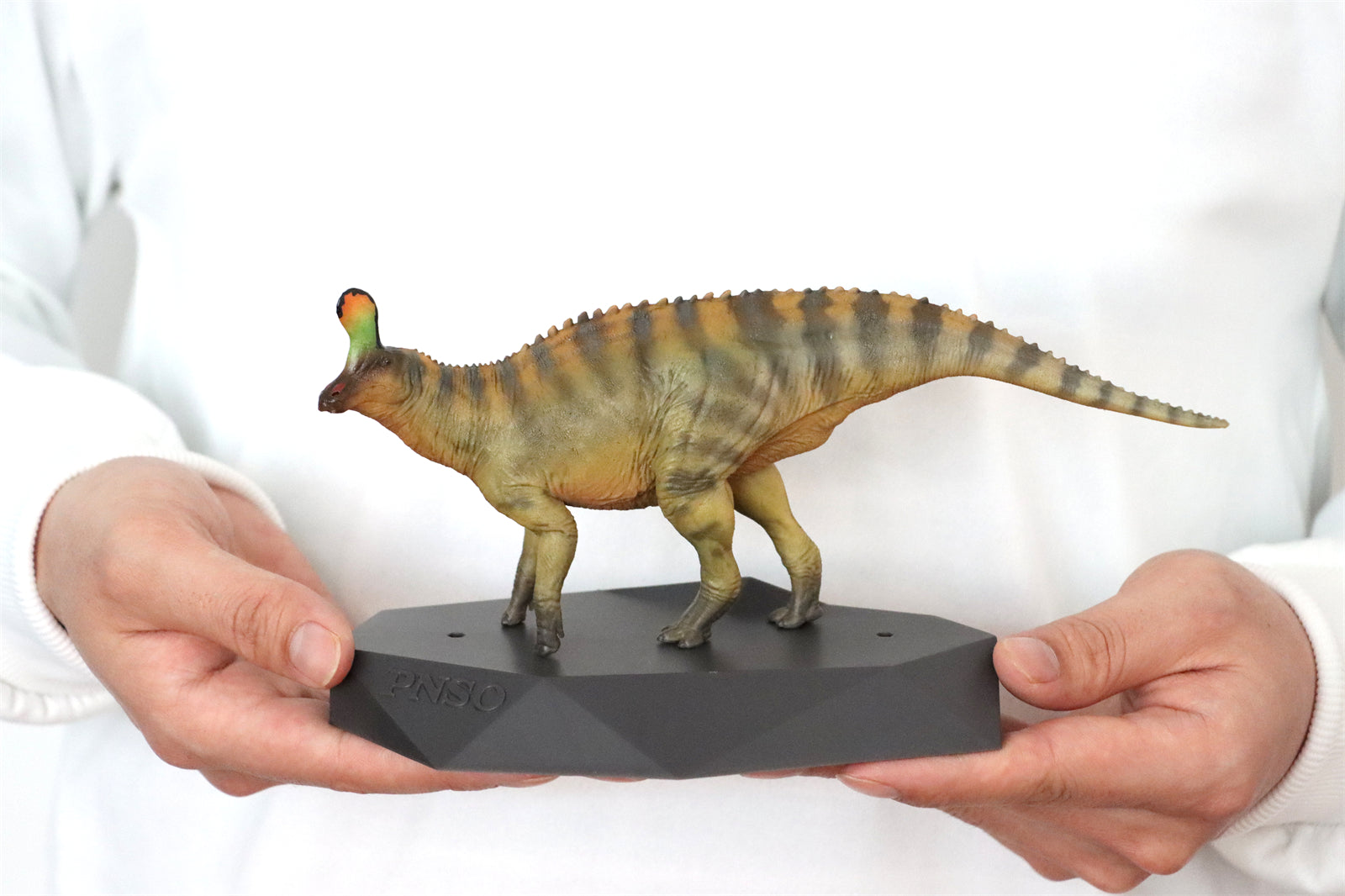 PNSO 1:35 Tsintaosaurus XiaoQin Model