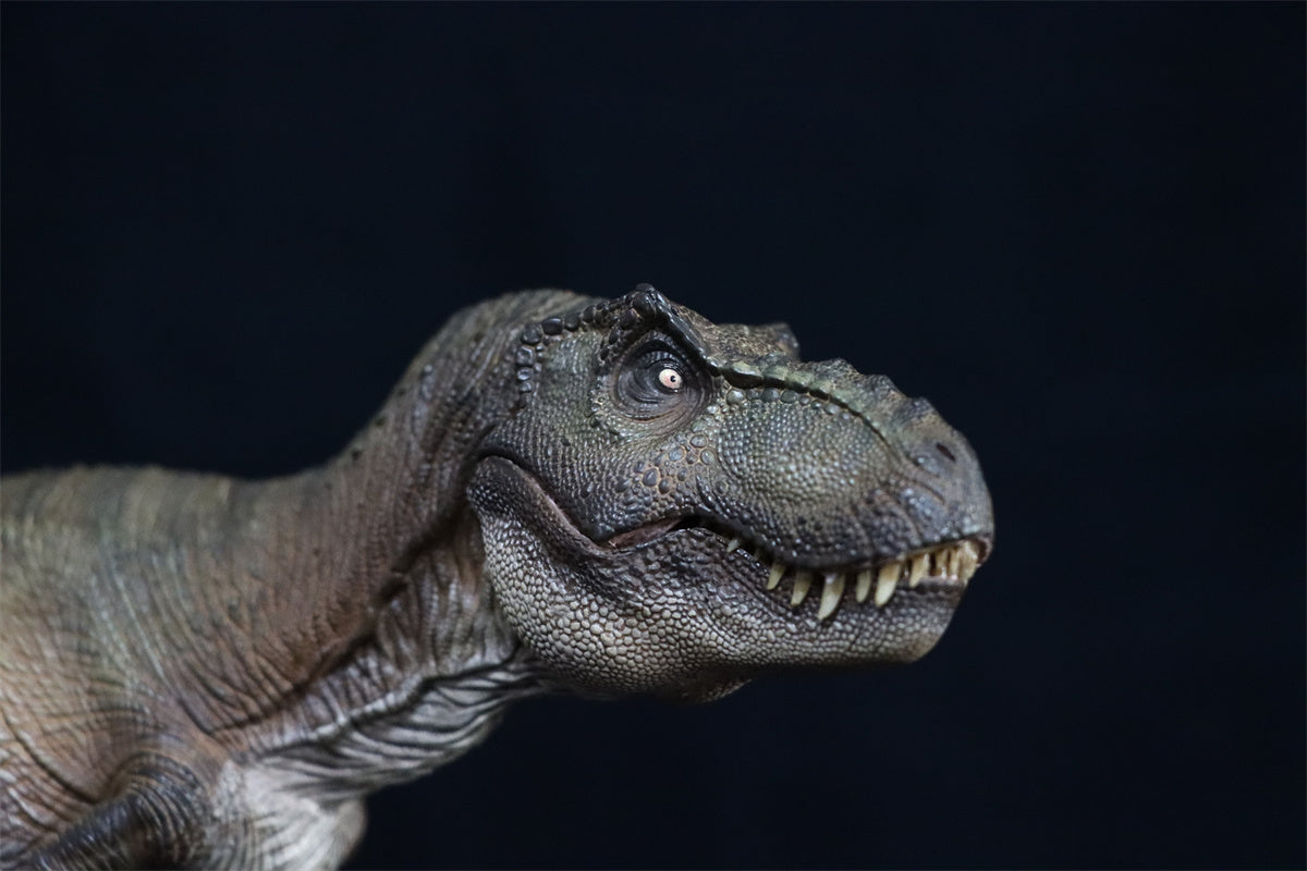 Nanmu 1:35 Scale Tyrannosaurus Rex Figure Alpha T-Rex Tyrannosauridae  Dinosaur Trex Model Realistic PVC Animal Collector Toys Decor Gift for  Adult
