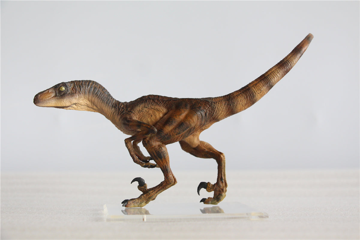 DINO DREAM 1/15 Velociraptor Raptor in the kitchen Statue