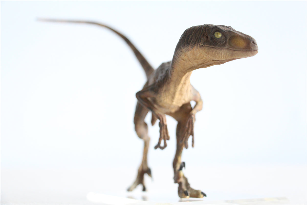 DINO DREAM 1/15 Velociraptor Raptor in the kitchen Statue