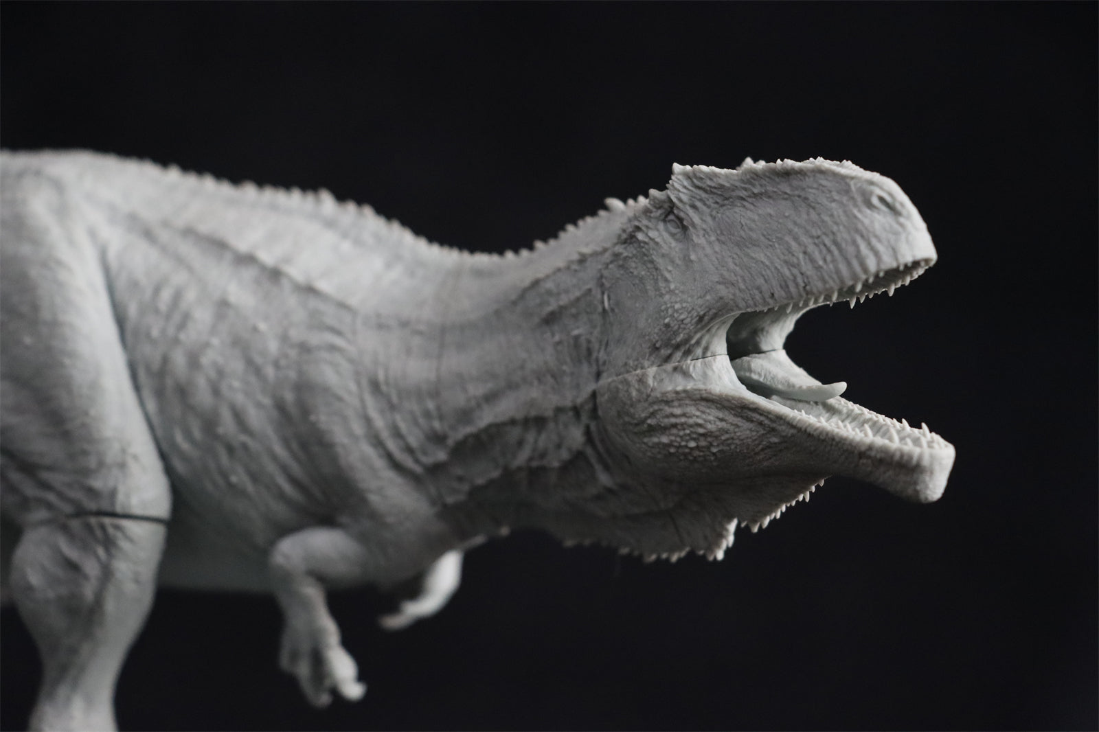 1/35 Giganotosaurus Statue