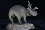 Sensen 1/35 Xenoceratops Scene Statue