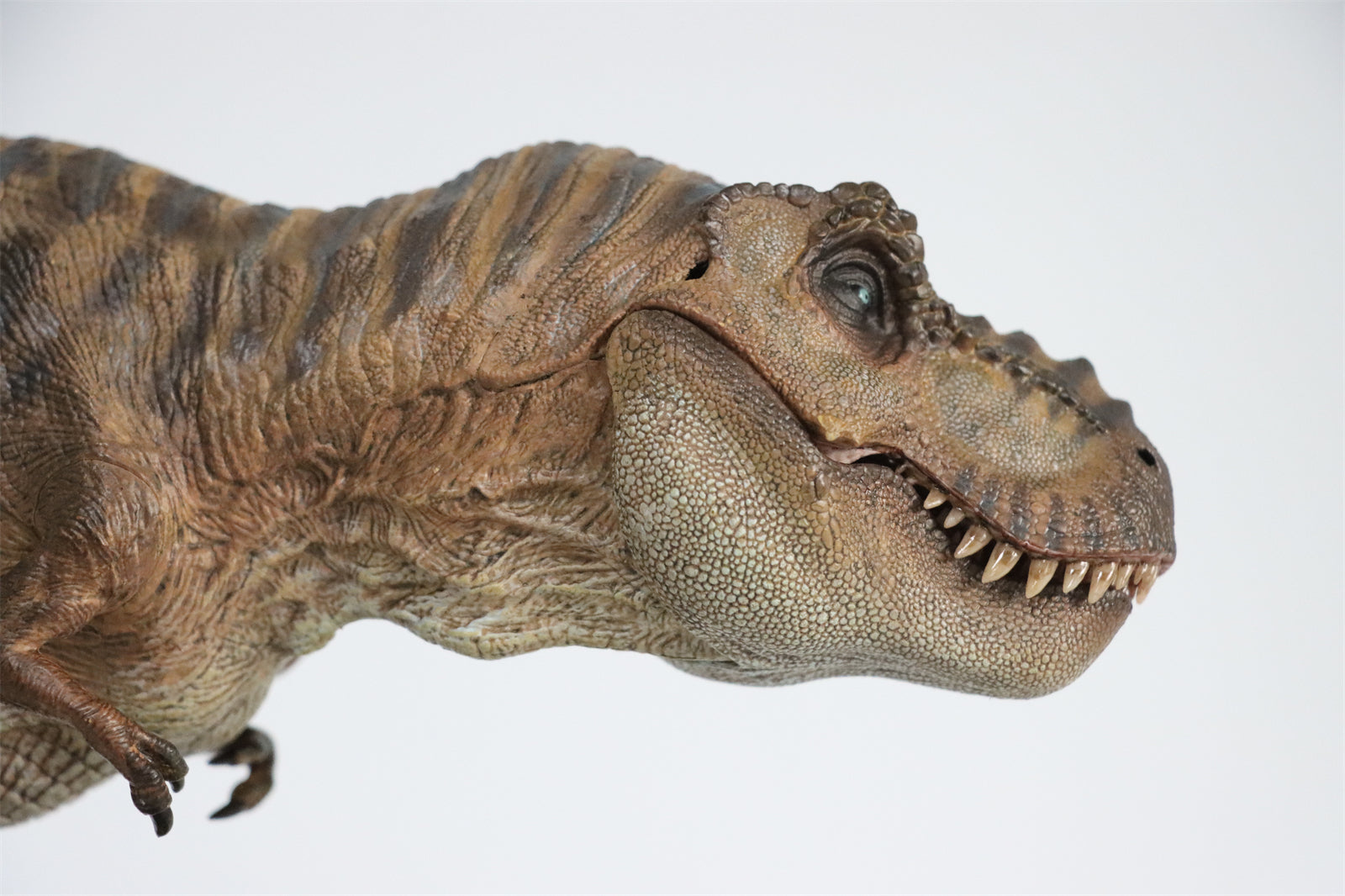 Nanmu T Rex The Once and Future King Figure