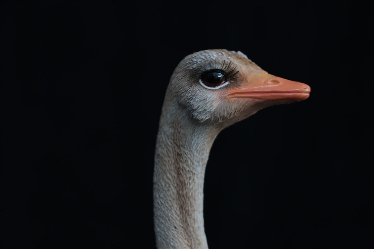 JXK 1/6 Ostrich Model