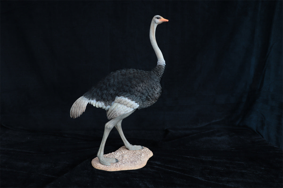 JXK 1/6 Ostrich Model