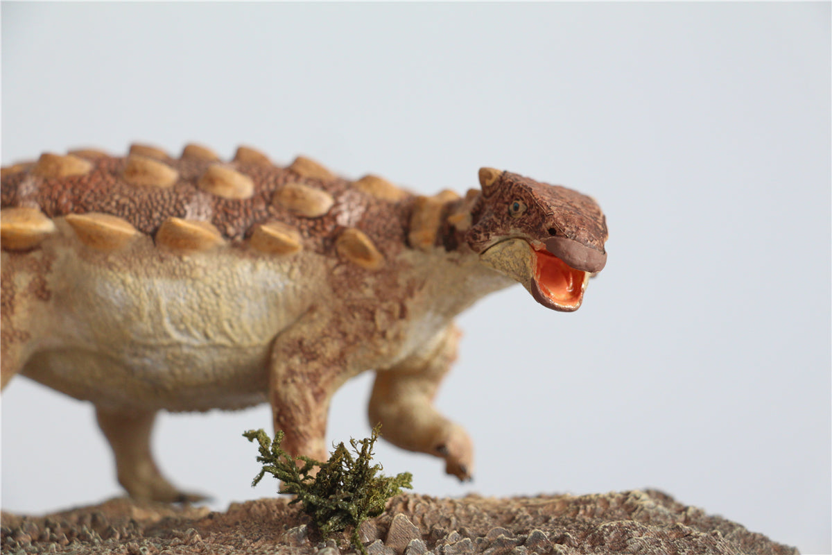 Vitae 1/35 Jinyunpelta sinensis Figure