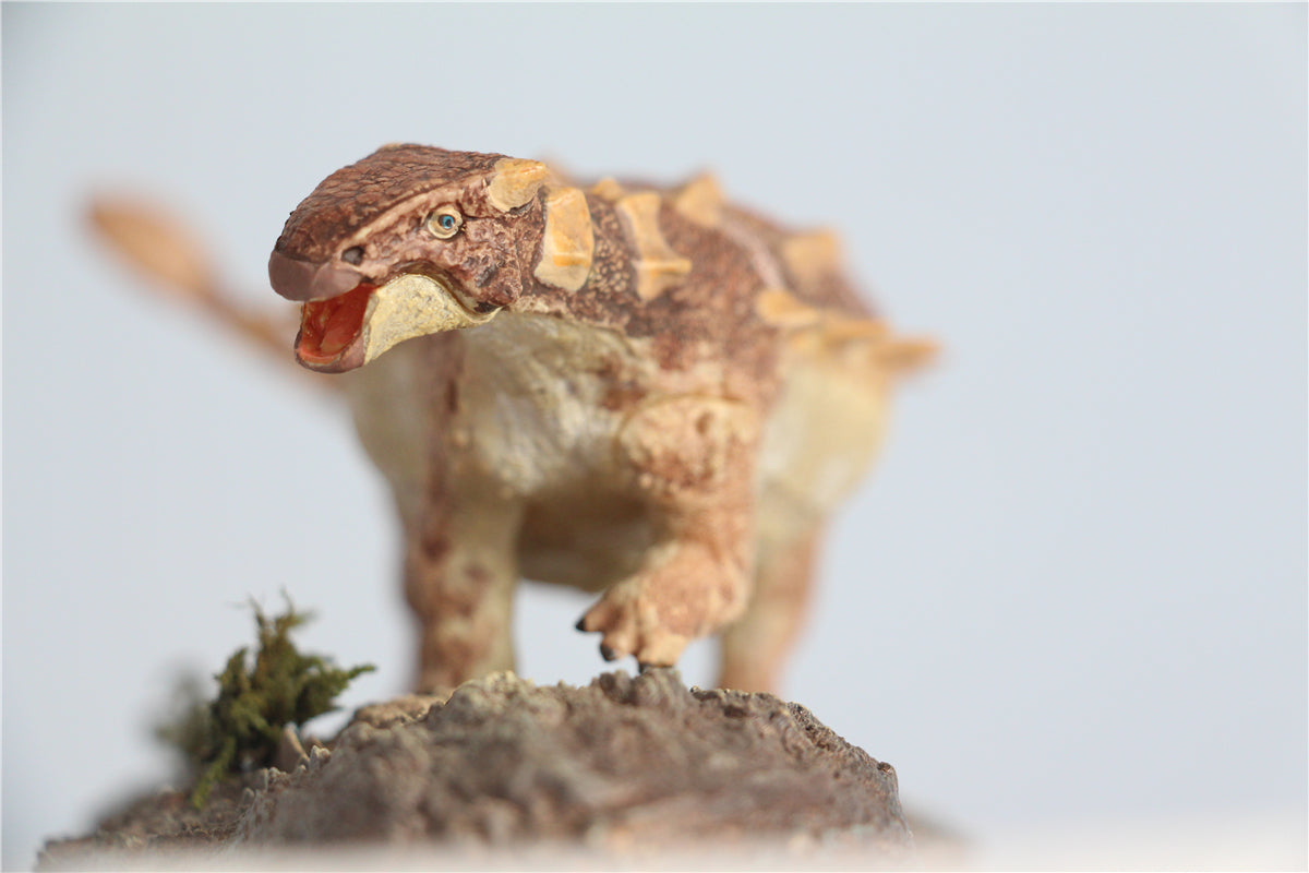 Vitae 1/35 Jinyunpelta sinensis Figure