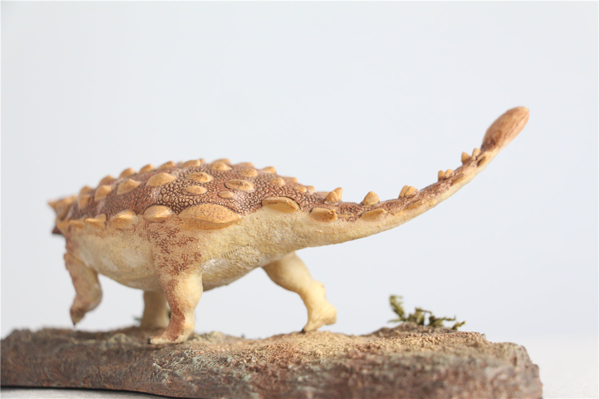 Vitae 1/35 Jinyunpelta sinensis Figure