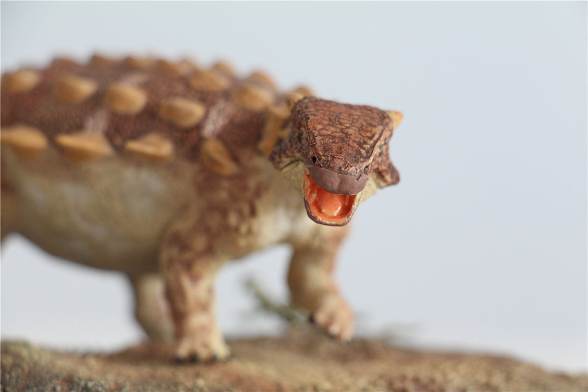 Vitae 1/35 Jinyunpelta sinensis Figure