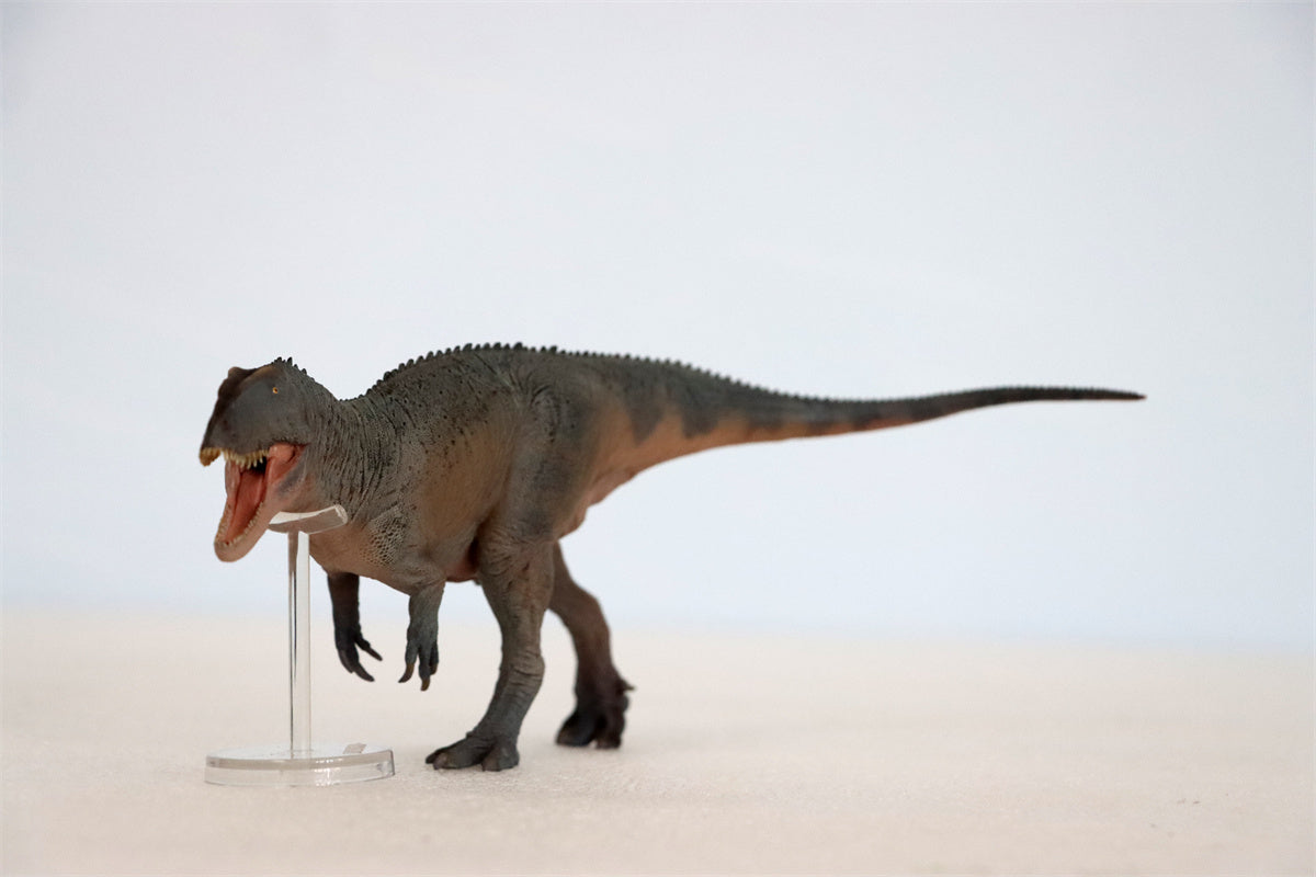 PNSO Sinraptor Xinchuan Figure