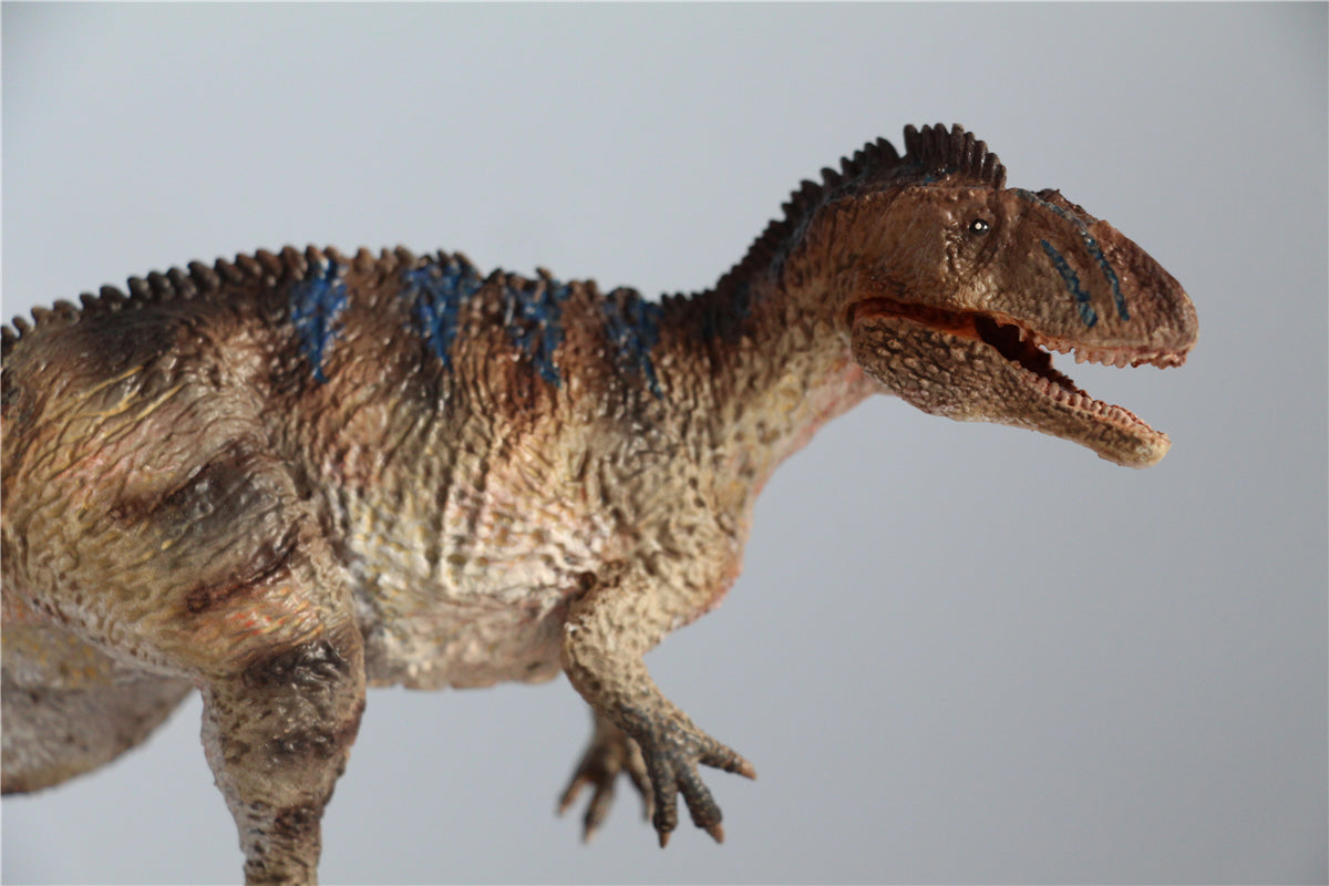 Vitae 1/35 Sinraptor dongi Model