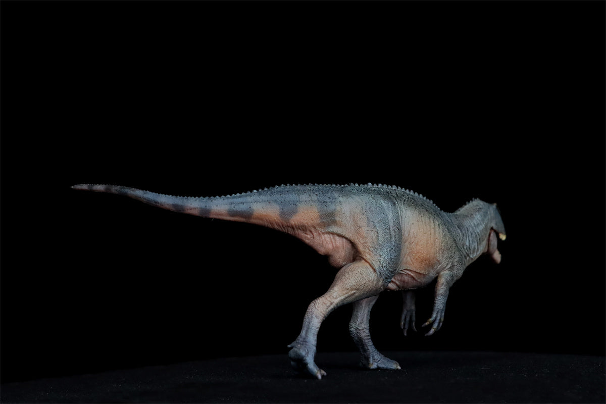 PNSO Sinraptor Xinchuan Figure – Lana Time Shop