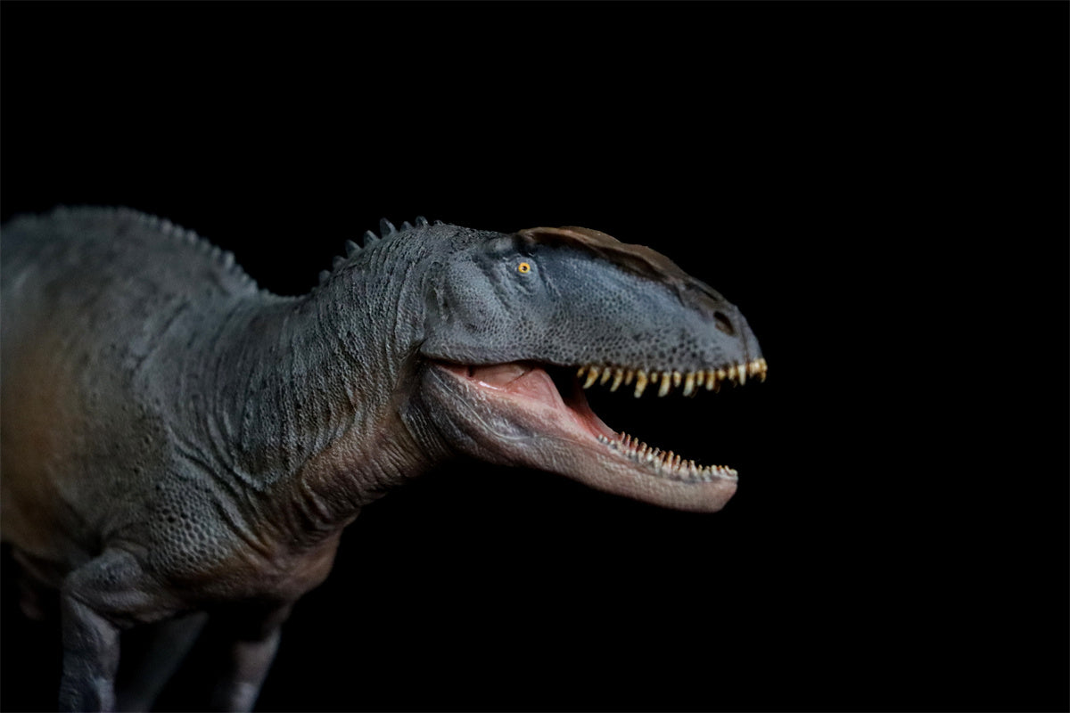 PNSO Sinraptor Xinchuan Figure