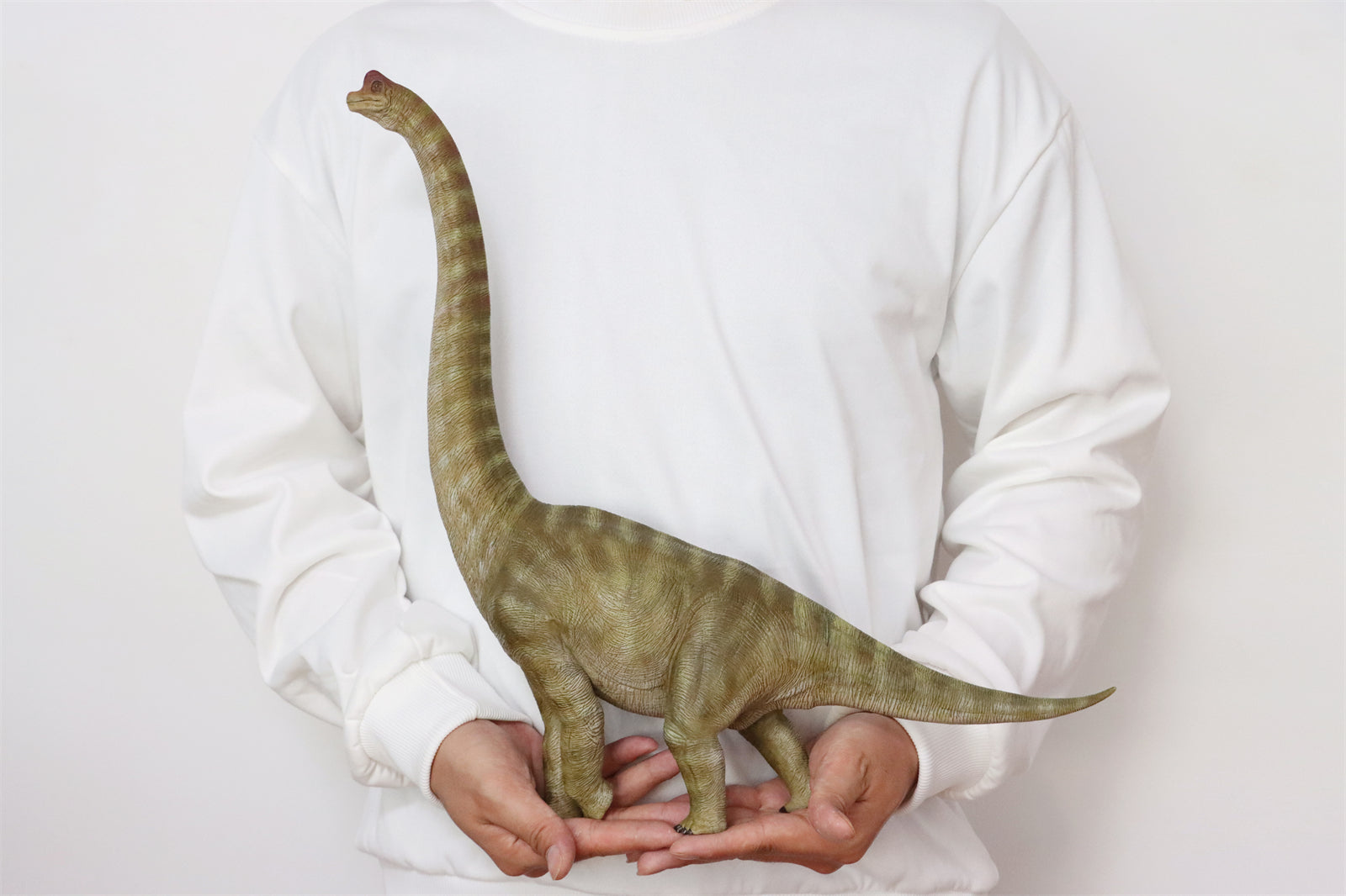 Nanmu Studio Brachiosaurus Watchmen Figure