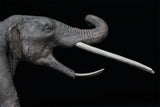 Eofauna 1:35 Scale Konobelodon Figure