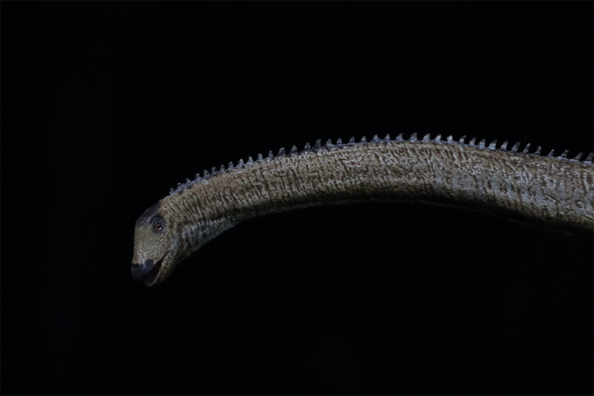 Eofauna 1:40 Scale Diplodocus Figure