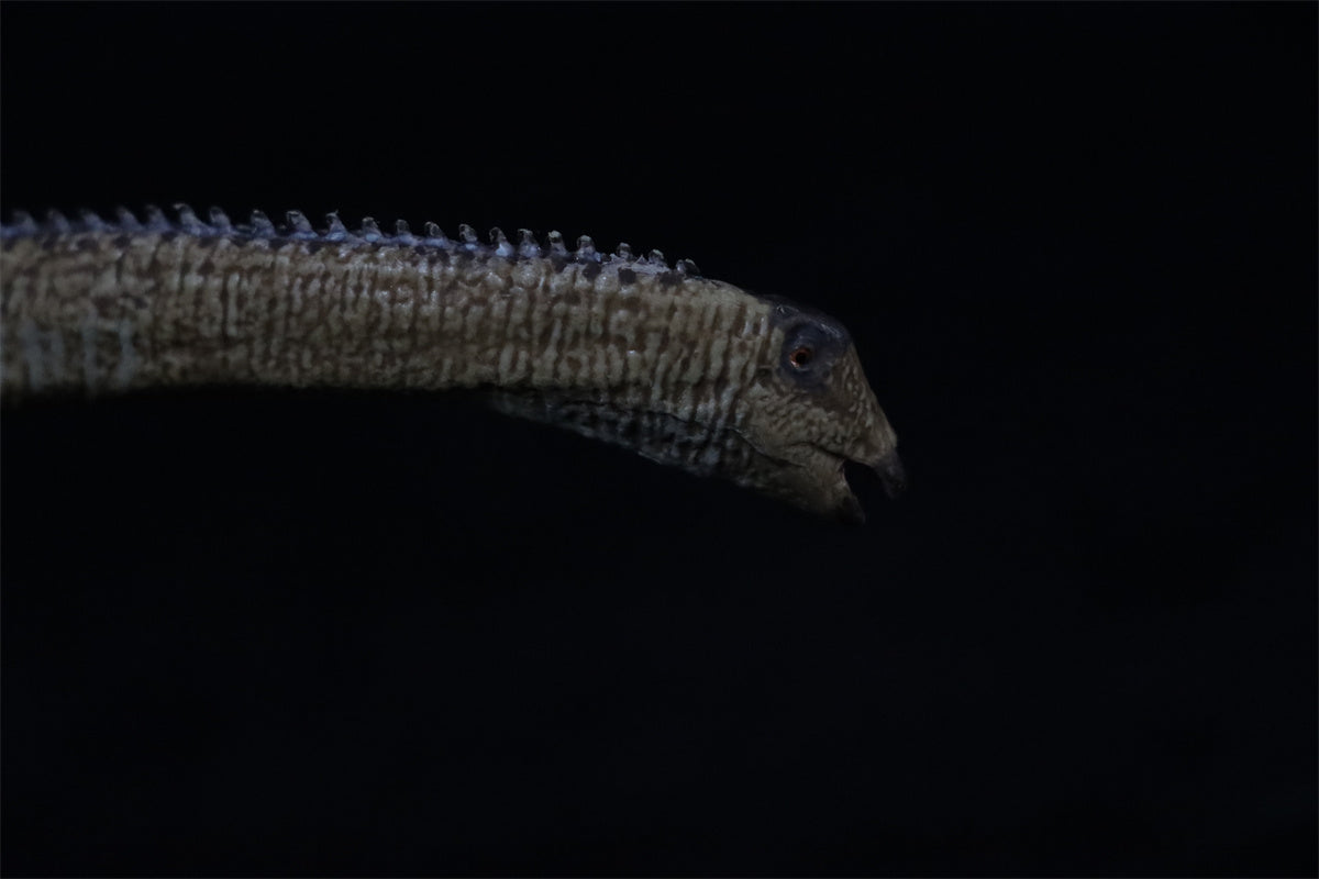 Eofauna 1:40 Scale Diplodocus Figure