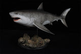 Rheic 1/35 Megalodon Statue