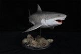 Rheic 1/35 Megalodon Statue