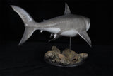 Rheic 1/35 Megalodon Statue