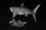 Rheic 1/35 Megalodon Statue