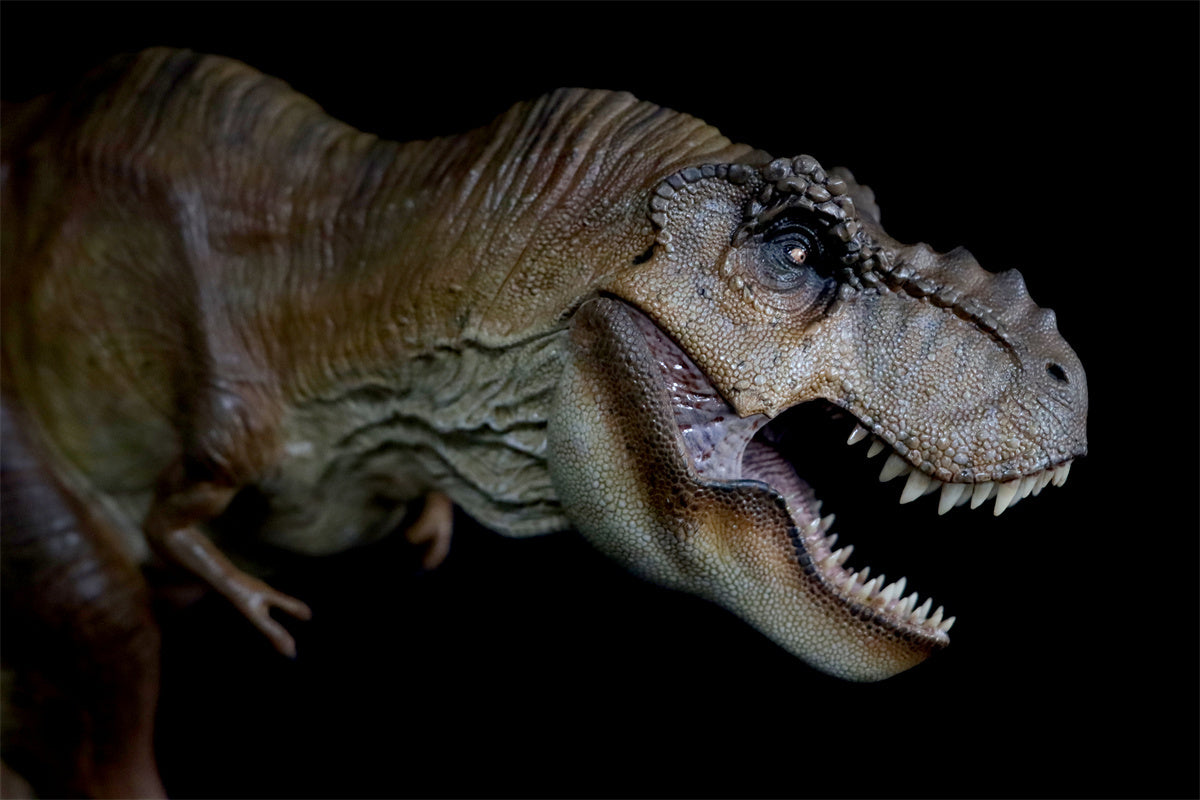 Nanmu T Rex The Once and Future King Figure