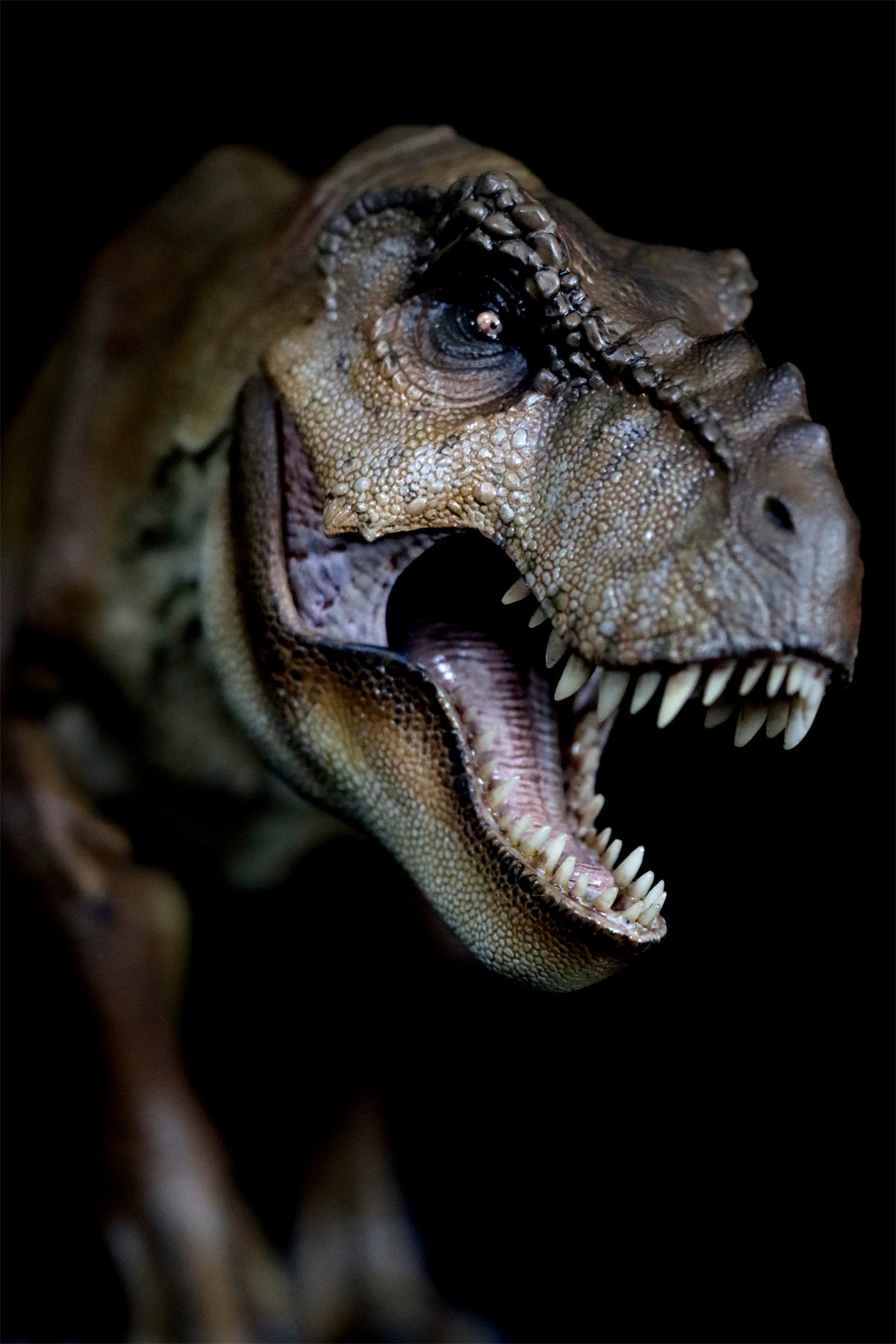 Nanmu T Rex The Once and Future King Figure