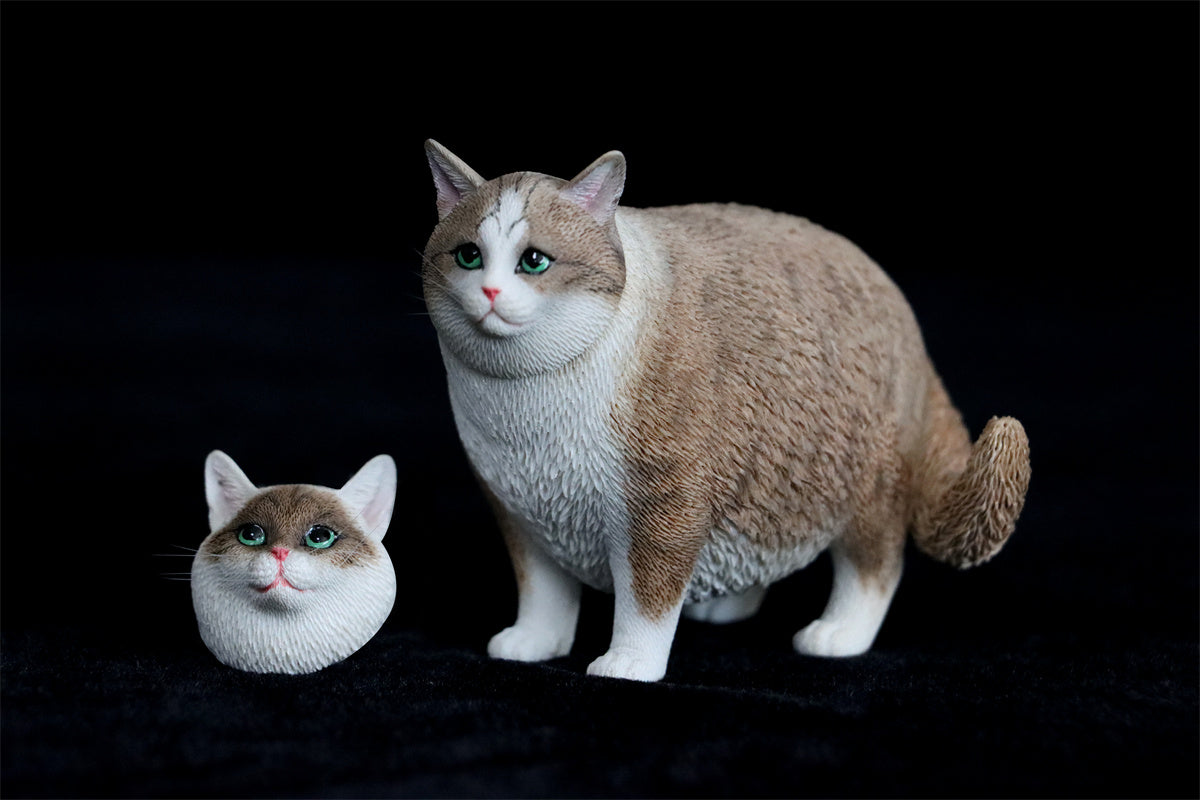 オリジナル解説】FNTC CAT 139-142-148-151-153-155cm エフ