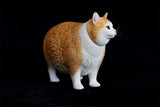 JXK 1/6 Change Head Fat Cat Model