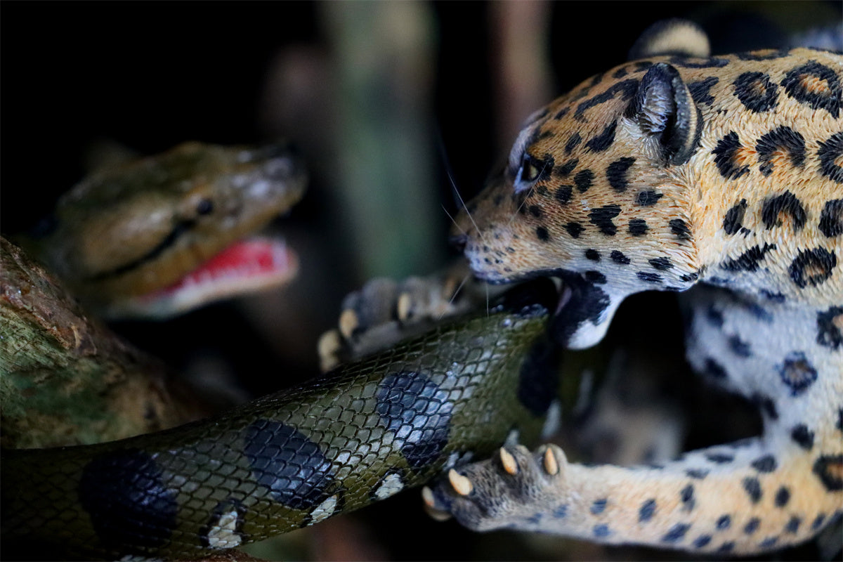 K&P 1/6 Anaconda VS Panthera onca Scene Statue