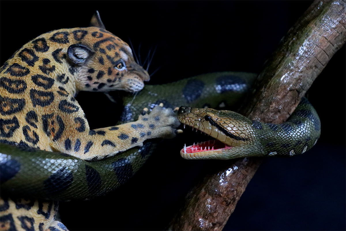 K&P 1/6 Anaconda VS Panthera onca Scene Statue
