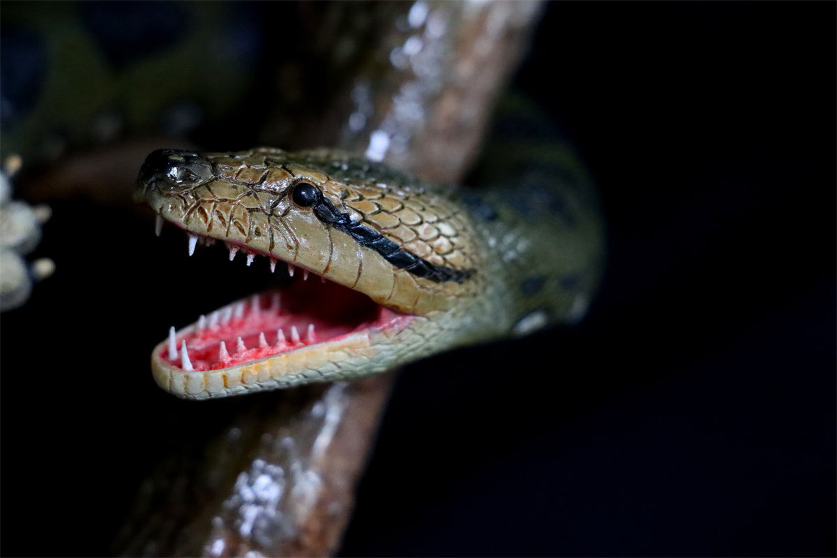 K&P 1/6 Anaconda VS Panthera onca Scene Statue